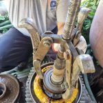 WhatsApp Image 2025-07-04 at 9.14.53 PM