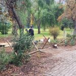 WhatsApp Image 2025-07-04 at 9.36.36 PM